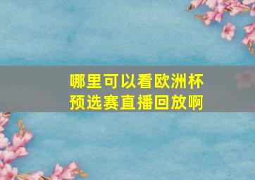 哪里可以看欧洲杯预选赛直播回放啊