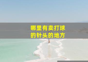 哪里有卖打球的针头的地方