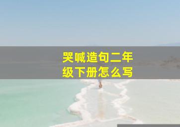 哭喊造句二年级下册怎么写