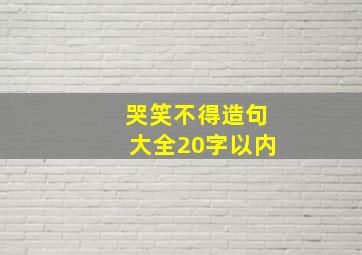 哭笑不得造句大全20字以内