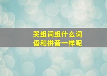 哭组词组什么词语和拼音一样呢