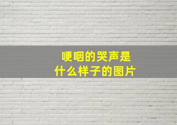 哽咽的哭声是什么样子的图片