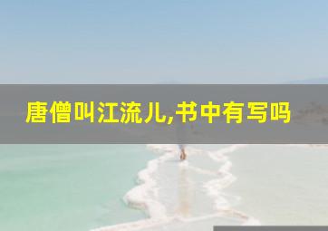 唐僧叫江流儿,书中有写吗