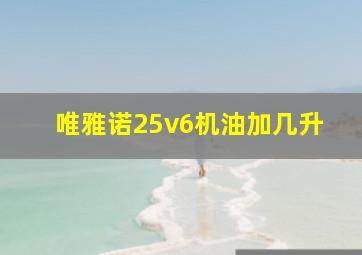 唯雅诺25v6机油加几升