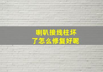 喇叭接线柱坏了怎么修复好呢