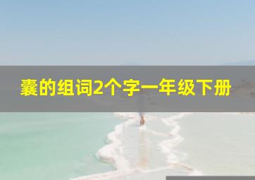 囊的组词2个字一年级下册