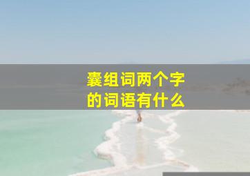 囊组词两个字的词语有什么