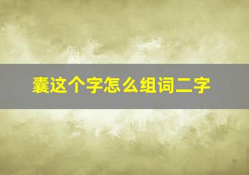 囊这个字怎么组词二字