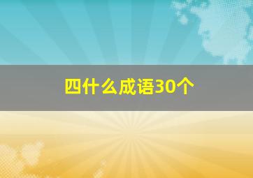 四什么成语30个