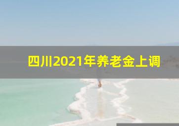 四川2021年养老金上调