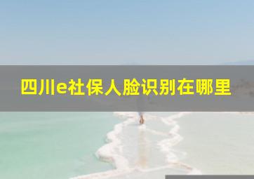 四川e社保人脸识别在哪里