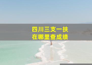 四川三支一扶在哪里查成绩