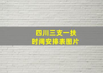 四川三支一扶时间安排表图片