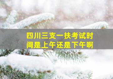 四川三支一扶考试时间是上午还是下午啊