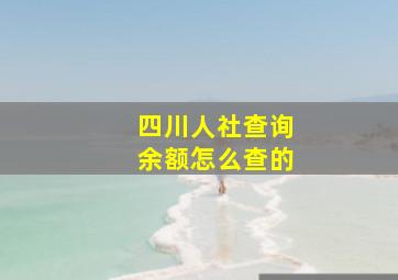 四川人社查询余额怎么查的