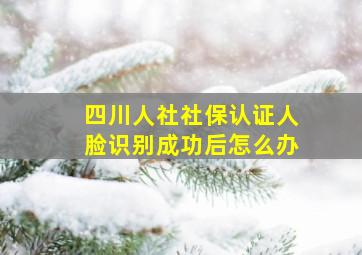 四川人社社保认证人脸识别成功后怎么办