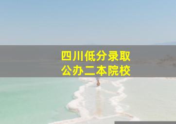 四川低分录取公办二本院校