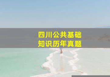 四川公共基础知识历年真题