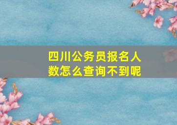 四川公务员报名人数怎么查询不到呢