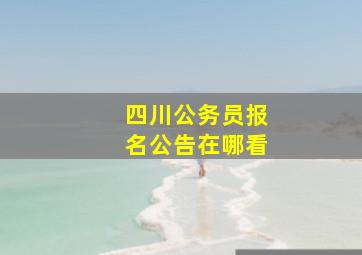 四川公务员报名公告在哪看