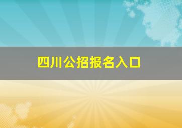 四川公招报名入口