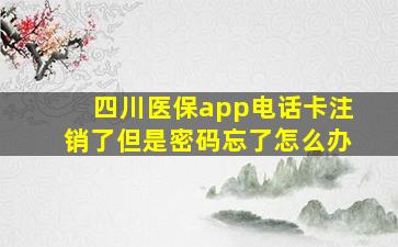 四川医保app电话卡注销了但是密码忘了怎么办