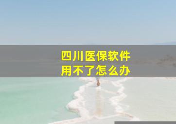 四川医保软件用不了怎么办