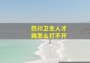 四川卫生人才网怎么打不开