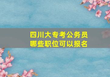 四川大专考公务员哪些职位可以报名