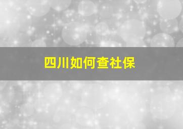 四川如何查社保