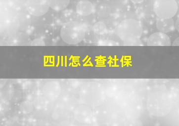 四川怎么查社保