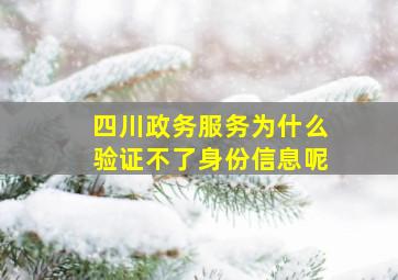 四川政务服务为什么验证不了身份信息呢