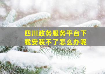 四川政务服务平台下载安装不了怎么办呢