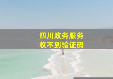 四川政务服务收不到验证码