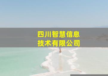 四川智慧信息技术有限公司