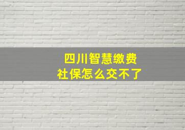 四川智慧缴费社保怎么交不了