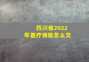 四川省2022年医疗保险怎么交