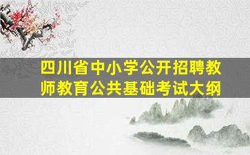 四川省中小学公开招聘教师教育公共基础考试大纲