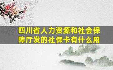 四川省人力资源和社会保障厅发的社保卡有什么用