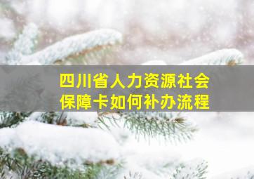 四川省人力资源社会保障卡如何补办流程