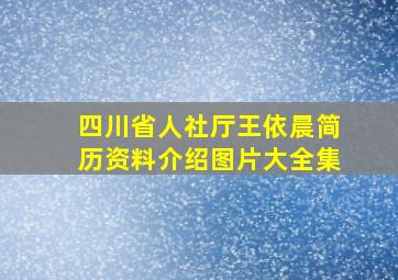 四川省人社厅王依晨简历资料介绍图片大全集