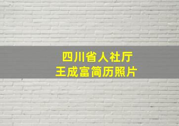 四川省人社厅王成富简历照片