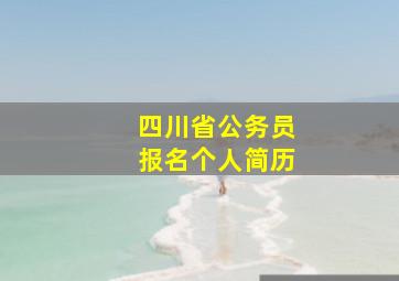 四川省公务员报名个人简历