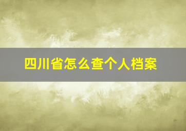 四川省怎么查个人档案