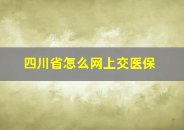 四川省怎么网上交医保