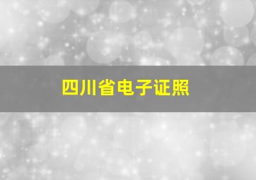 四川省电子证照