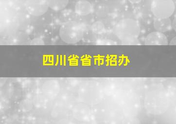 四川省省市招办