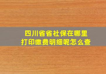 四川省省社保在哪里打印缴费明细呢怎么查