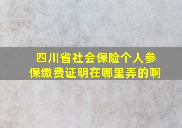 四川省社会保险个人参保缴费证明在哪里弄的啊