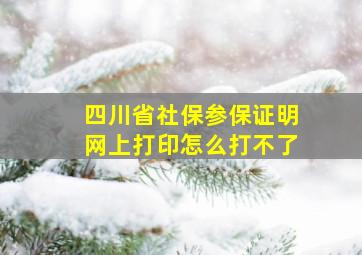 四川省社保参保证明网上打印怎么打不了